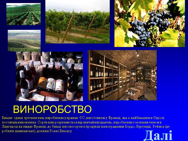 ВИНОРОБСТВО Більше однієї третини вин, вироблених у країнах ЄС, виготовлені у Франції, яка є